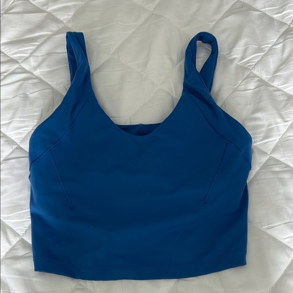 Blue Sleeveless Crop Top